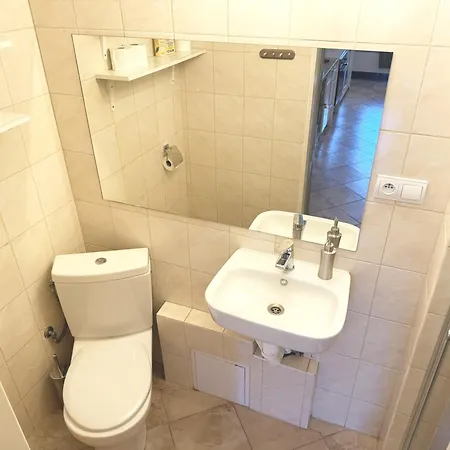 Apartment Mestiansky Dom 1 *